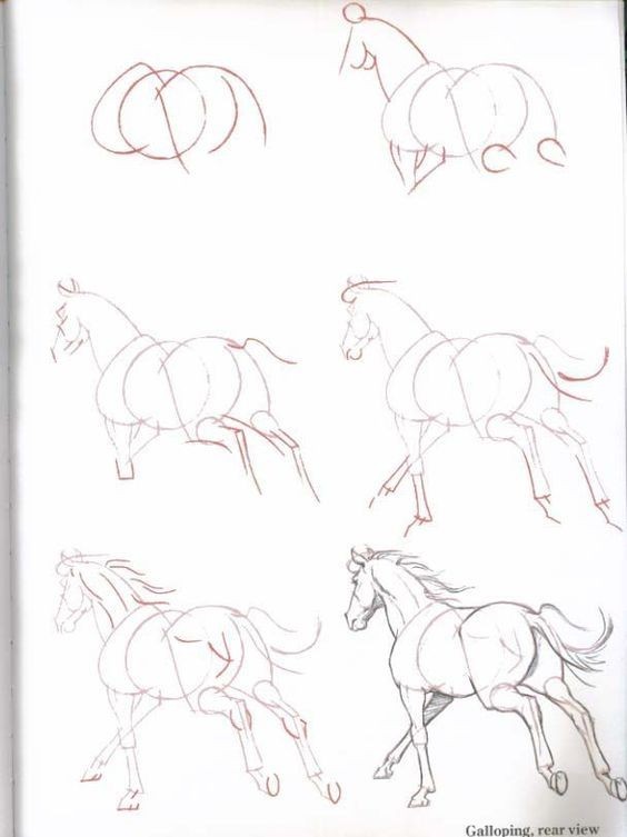 63 idées de dessins de cheval : pour apprendre à dessiner des chevaux 12