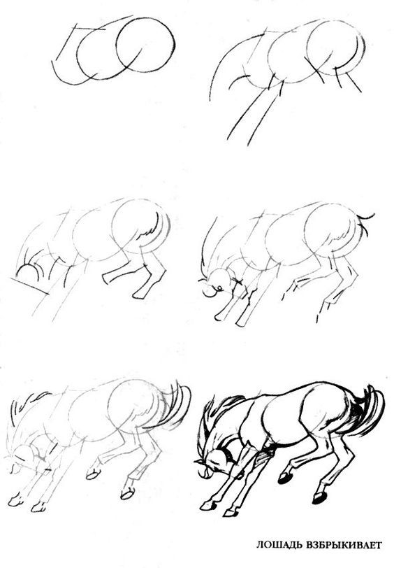 63 idées de dessins de cheval : pour apprendre à dessiner des chevaux 13