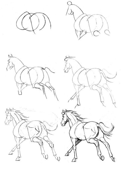 63 idées de dessins de cheval : pour apprendre à dessiner des chevaux 15