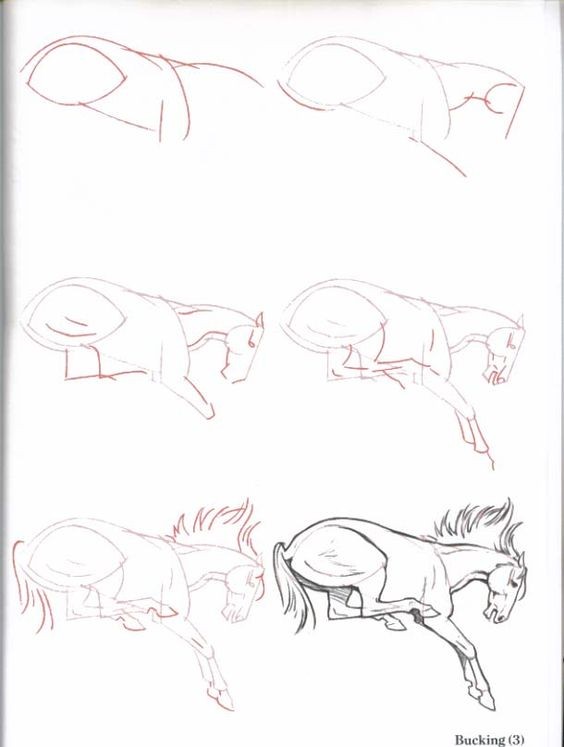 63 idées de dessins de cheval : pour apprendre à dessiner des chevaux 20
