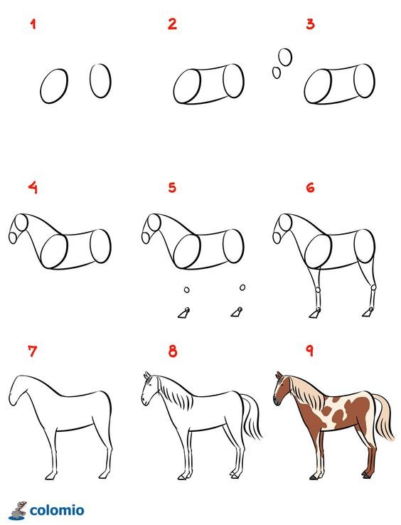 63 idées de dessins de cheval : pour apprendre à dessiner des chevaux 23