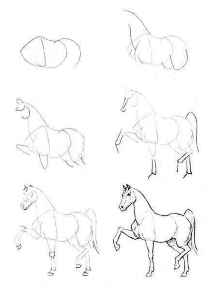 63 idées de dessins de cheval : pour apprendre à dessiner des chevaux 26