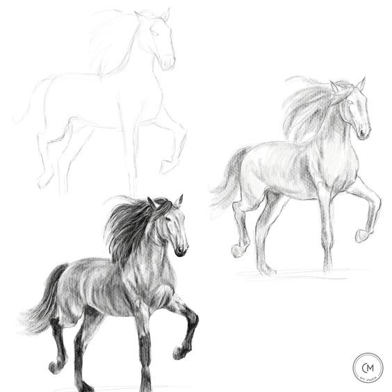 63 idées de dessins de cheval : pour apprendre à dessiner des chevaux 27
