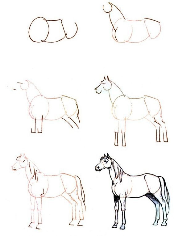 63 idées de dessins de cheval : pour apprendre à dessiner des chevaux 28