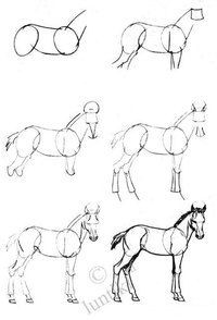 63 idées de dessins de cheval : pour apprendre à dessiner des chevaux 29