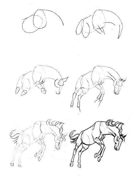 63 idées de dessins de cheval : pour apprendre à dessiner des chevaux 30