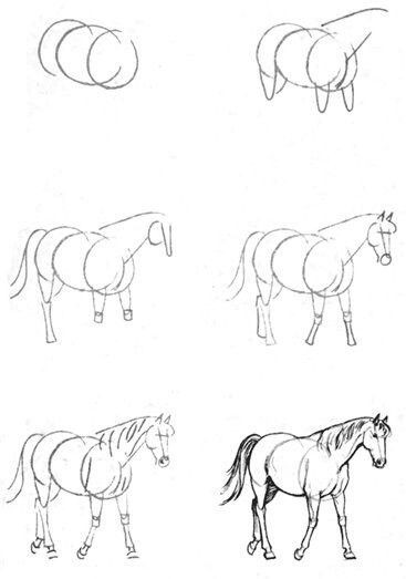 63 idées de dessins de cheval : pour apprendre à dessiner des chevaux 31
