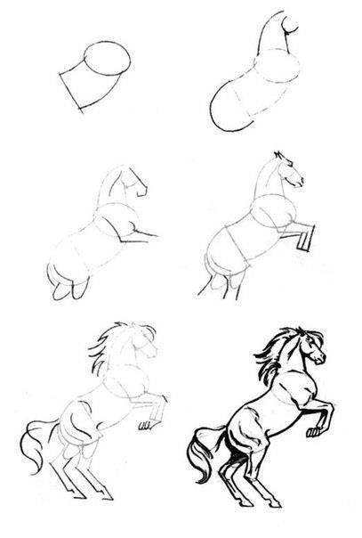 63 idées de dessins de cheval : pour apprendre à dessiner des chevaux 34