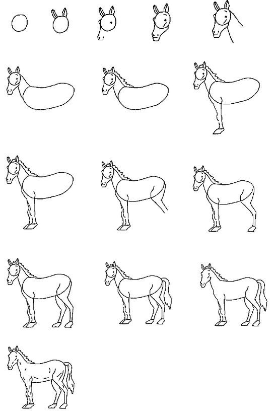 63 idées de dessins de cheval : pour apprendre à dessiner des chevaux 35
