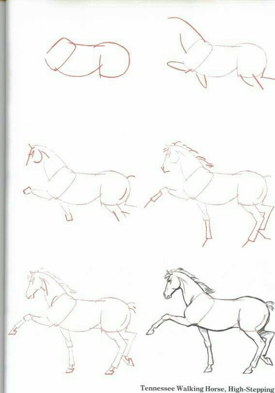 63 idées de dessins de cheval : pour apprendre à dessiner des chevaux 37