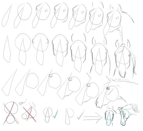 63 idées de dessins de cheval : pour apprendre à dessiner des chevaux 38