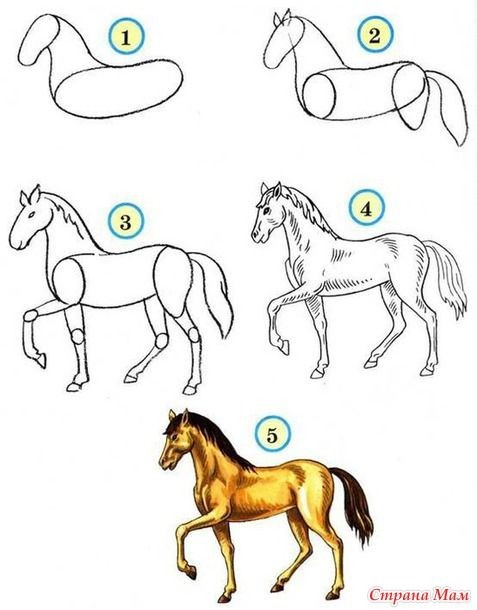 63 idées de dessins de cheval : pour apprendre à dessiner des chevaux 39