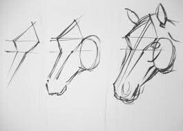 63 idées de dessins de cheval : pour apprendre à dessiner des chevaux 41