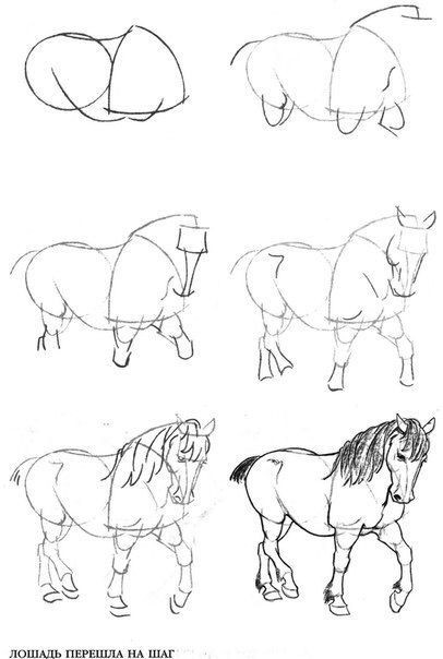 63 idées de dessins de cheval : pour apprendre à dessiner des chevaux 42