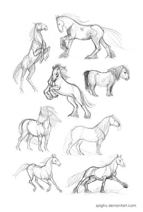 63 idées de dessins de cheval : pour apprendre à dessiner des chevaux 46