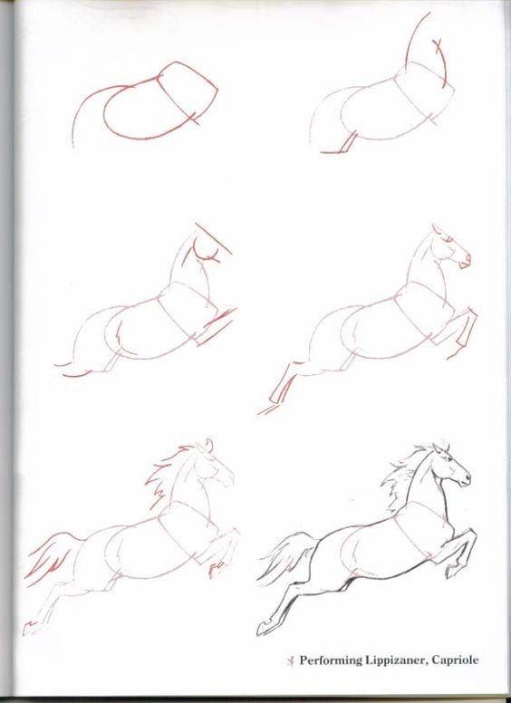 63 idées de dessins de cheval : pour apprendre à dessiner des chevaux 47