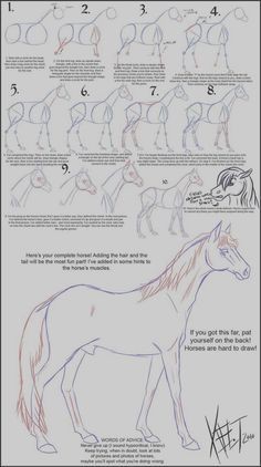 63 idées de dessins de cheval : pour apprendre à dessiner des chevaux 48