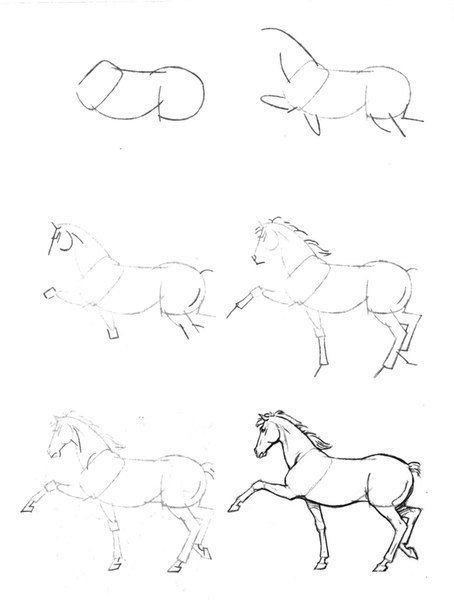 63 idées de dessins de cheval : pour apprendre à dessiner des chevaux 52