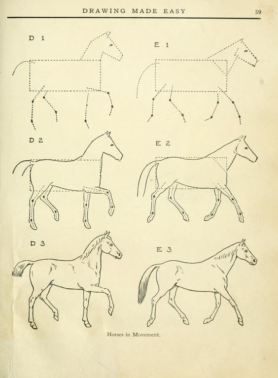 63 idées de dessins de cheval : pour apprendre à dessiner des chevaux 53