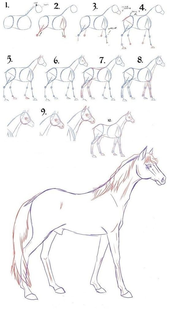 63 idées de dessins de cheval : pour apprendre à dessiner des chevaux 54