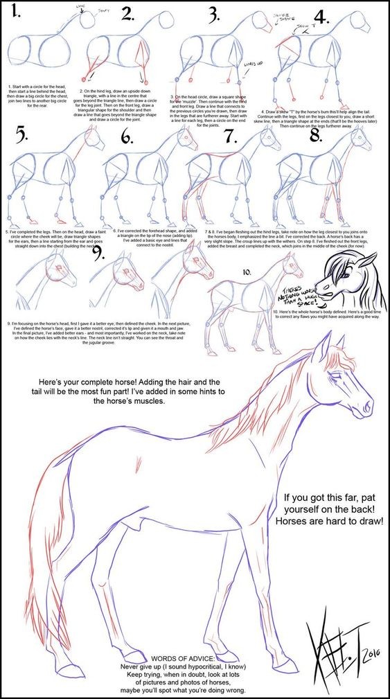 63 idées de dessins de cheval : pour apprendre à dessiner des chevaux 55