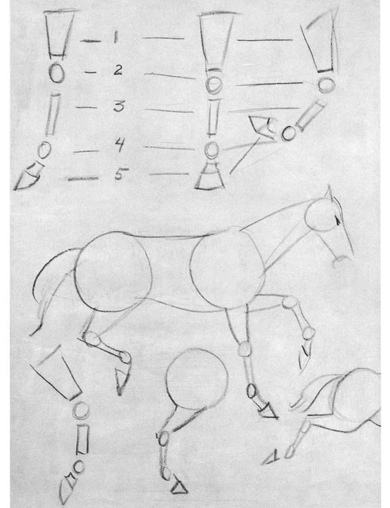 63 idées de dessins de cheval : pour apprendre à dessiner des chevaux 60