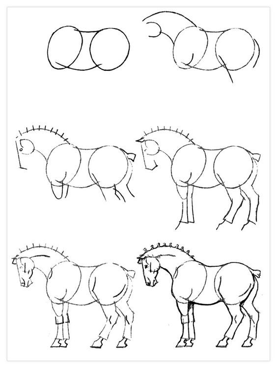 63 idées de dessins de cheval : pour apprendre à dessiner des chevaux 62