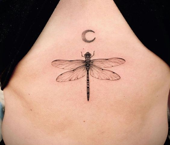 19 top idées de tatouages libellules pour vous inspirer 11