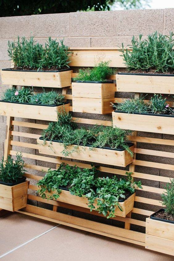 80 astuces incroyables pour transformer votre jardin sans vous ruiner! 8