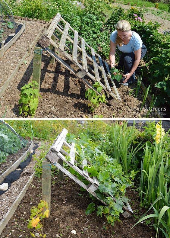 80 astuces incroyables pour transformer votre jardin sans vous ruiner! 1