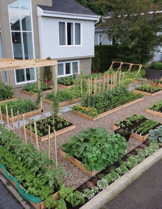 80 astuces incroyables pour transformer votre jardin sans vous ruiner! 3