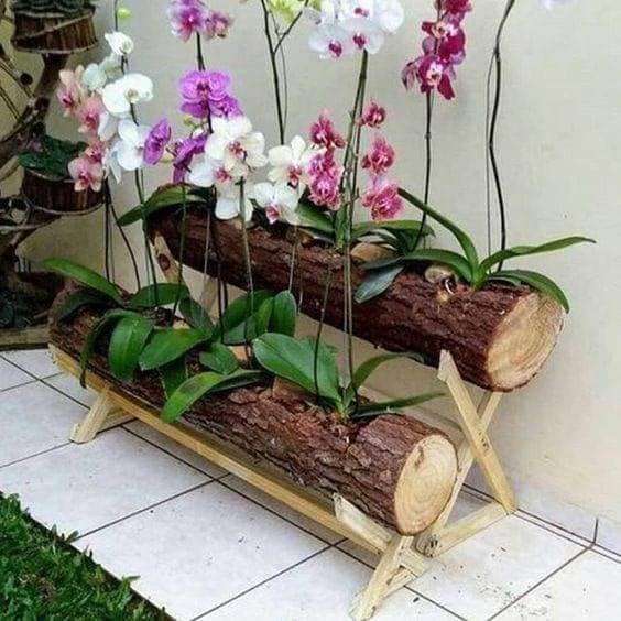 28 merveilleuses idées pour cultiver les orchidées 4