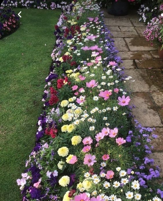 Les plus belles allées de jardin décorées avec des fleurs 18