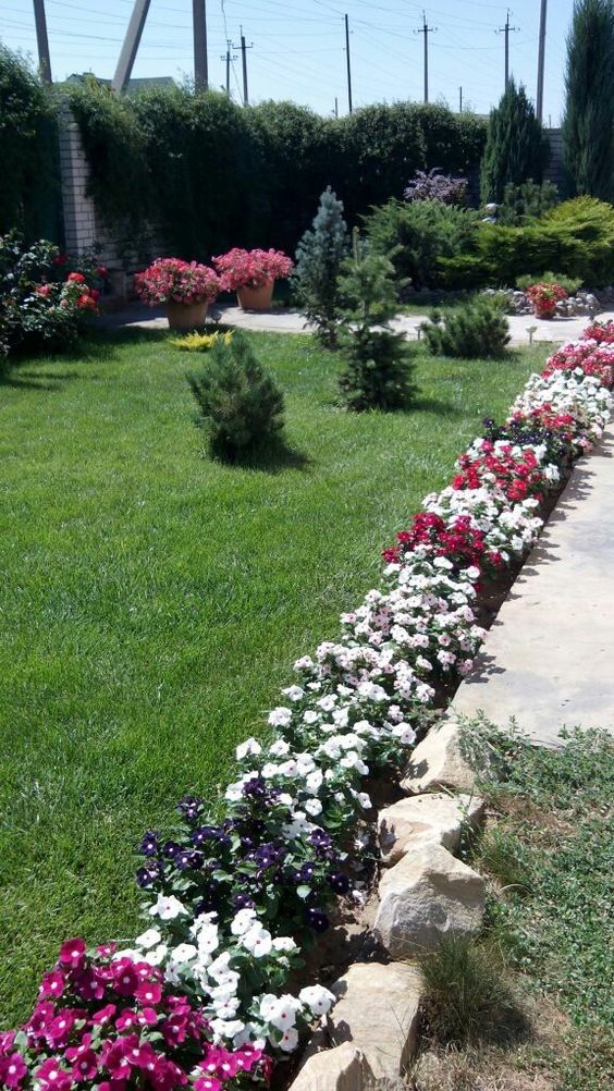 Les plus belles allées de jardin décorées avec des fleurs 8