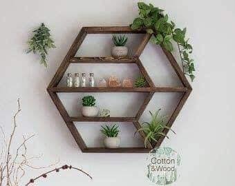 29 idées d'étagères pour plantes d'intérieur magnifiques 12