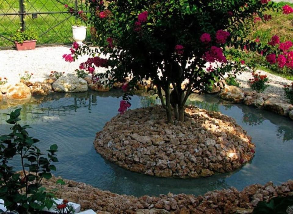 37 idées de petits étangs à faire dans son jardin 5