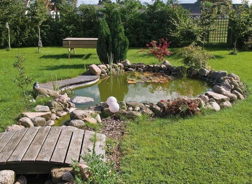 37 idées de petits étangs à faire dans son jardin 6