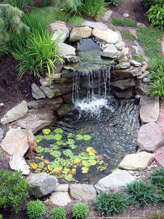 37 idées de petits étangs à faire dans son jardin 8