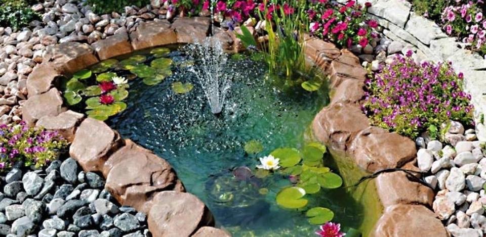 37 idées de petits étangs à faire dans son jardin 12