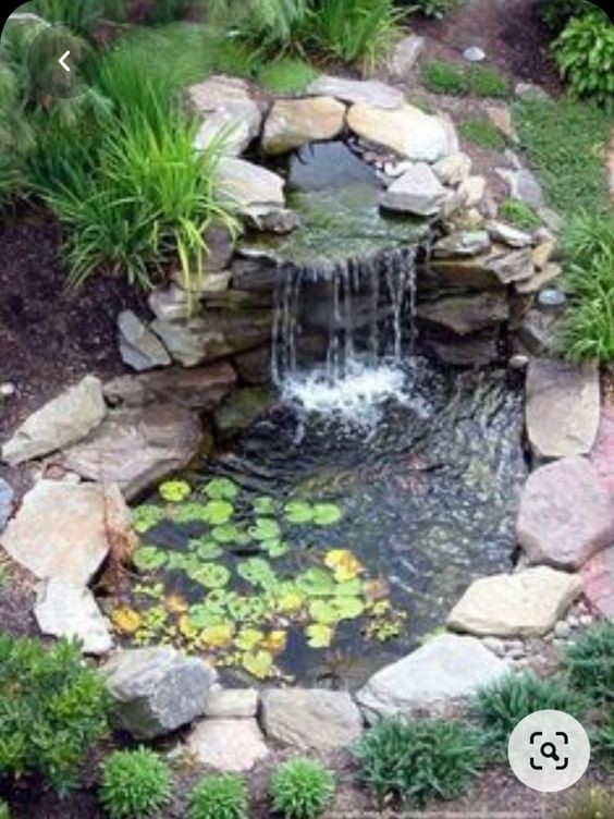 37 idées de petits étangs à faire dans son jardin 31