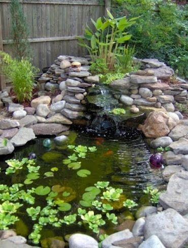 37 idées de petits étangs à faire dans son jardin 34