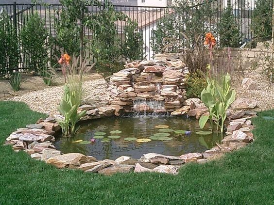 37 idées de petits étangs à faire dans son jardin 35