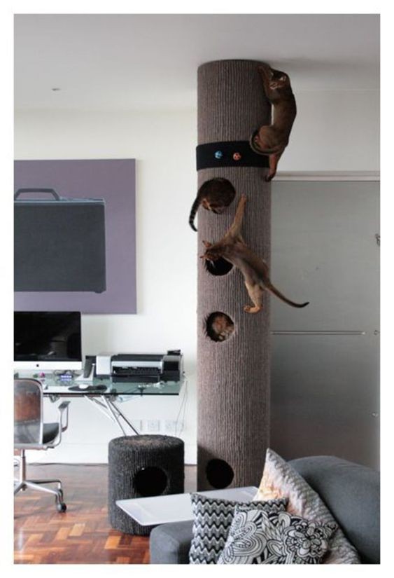 14 idées d'arbres à chat en bois à faire soi-même 8