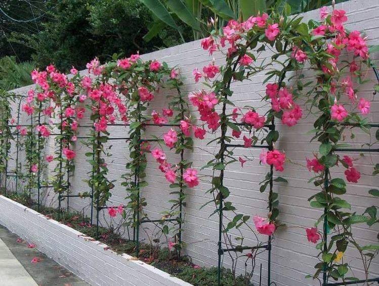 60 Décorations de jardin pour les amoureux des fleurs 6