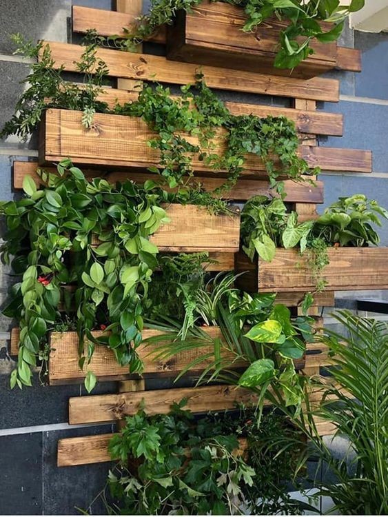 31 idées de jardinières murales en bois pour vos plantes 28