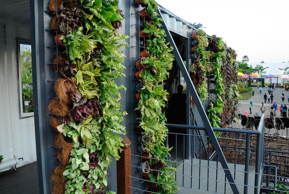 4 Raisons de créer une serre verticale dans son jardin 4