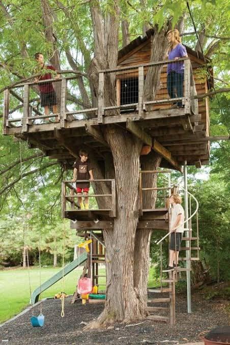60 cabanes dans les arbres pour vivre vos rêves d'enfance 48