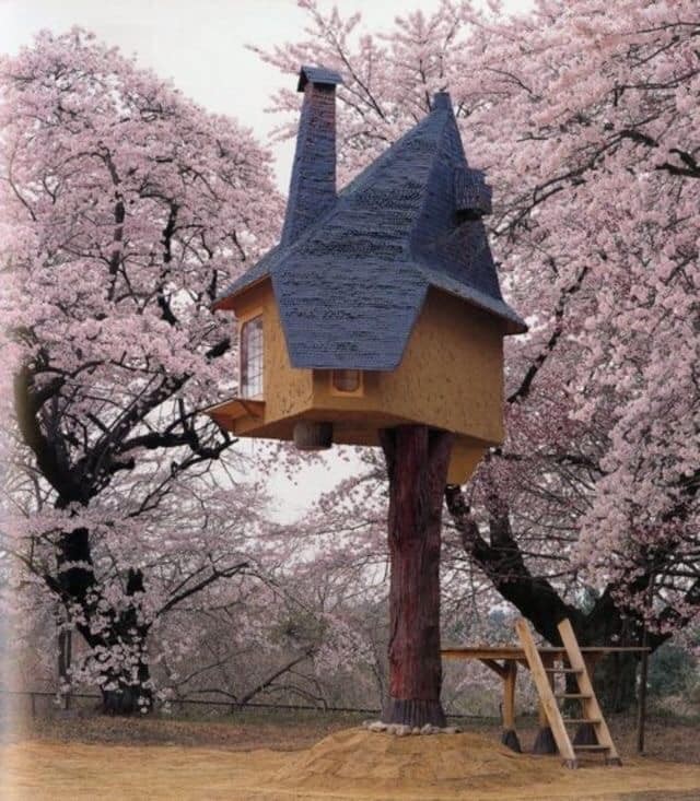 60 cabanes dans les arbres pour vivre vos rêves d'enfance 51