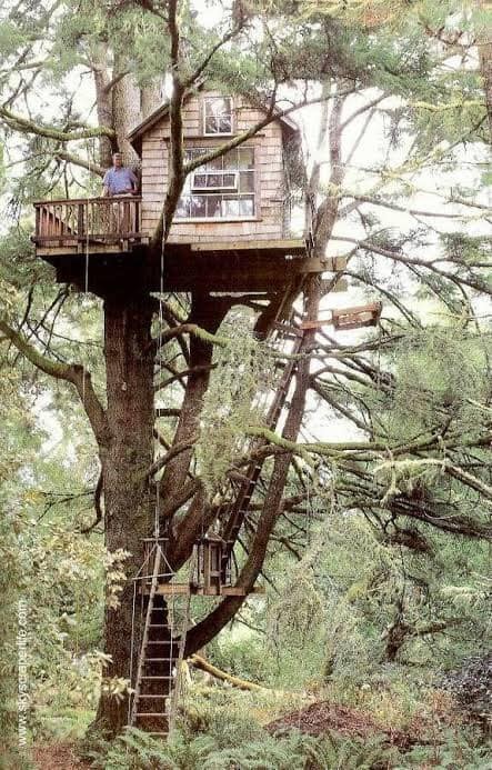 60 cabanes dans les arbres pour vivre vos rêves d'enfance 53