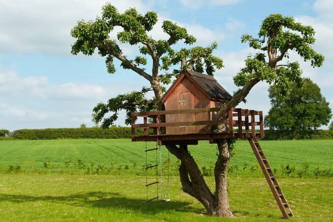 60 cabanes dans les arbres pour vivre vos rêves d'enfance 54
